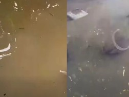 სტიქია სოფელ მატანში