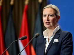 ალის ვაიდელი ალის ვაიდელი