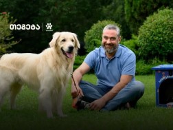 სმარტფო
