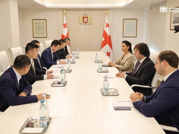 ირაკლი კობახიძე მსხვილი ჩინური ჰოლდინგის, DBH Group-ის წარმომადგენლებს შეხვდა