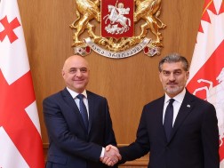 მიხეილ ყაველაშვილი მიხეილ ყაველაშვილი