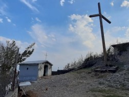 გოგნი