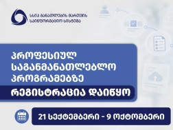 პროფესიული პროგრამები