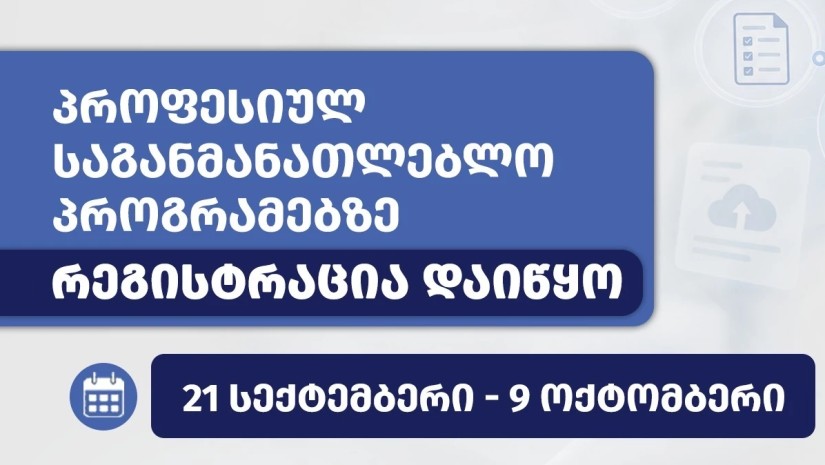 პროფესიული პროგრამები