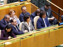 გაეროს სხდომა კობახიძე