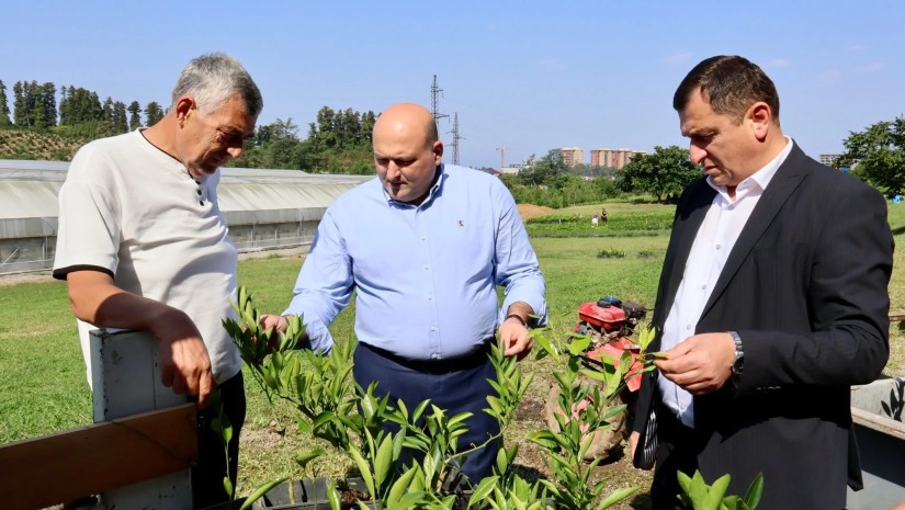 აგრო