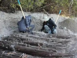 საას