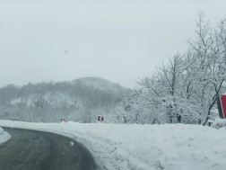ომალო