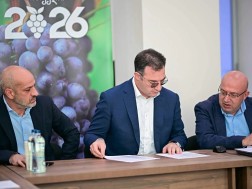 სონღულაშვილი