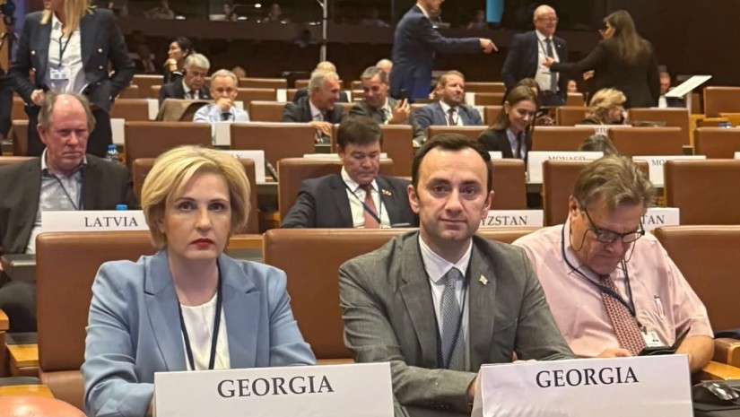 ეკა სეფაშვილი