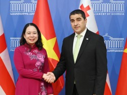 შალვა პაპუაშვილი