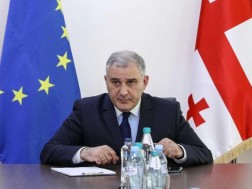 მიხეილ სარჯველაძე