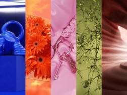 2027 წლის ფერი