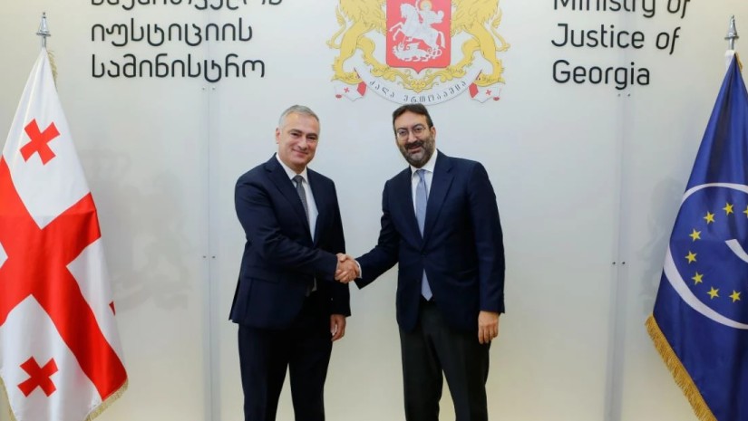 პაატა სალიამ ევროპის საბჭოს დელეგაციას უმასპინძლა