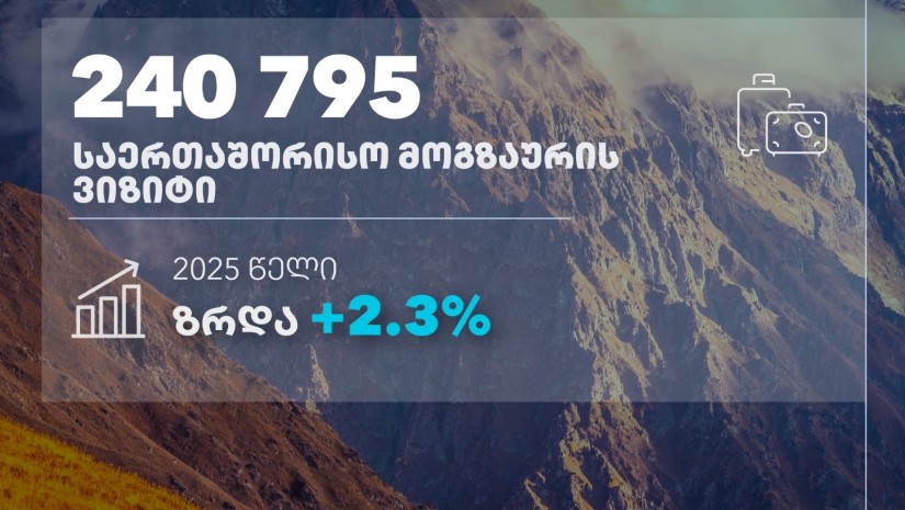 ვიზიტი
