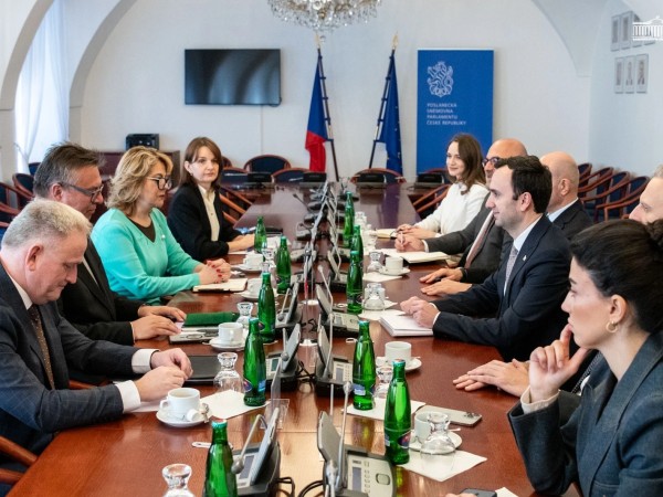 დელეგაცია დელეგაცია