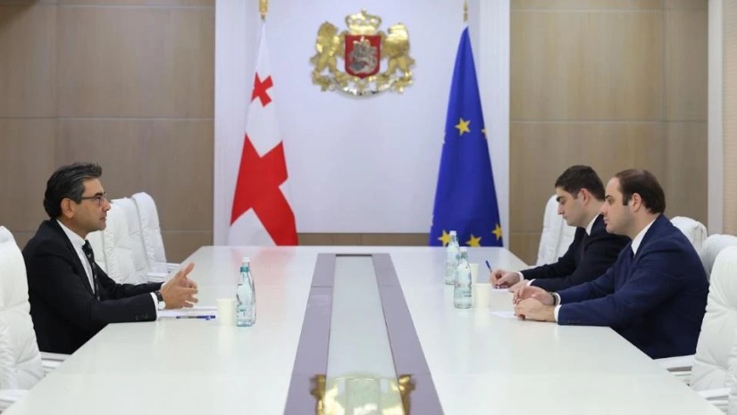 ლევან ჟორჟოლიანი თურქეთის ელჩს შეხვდა