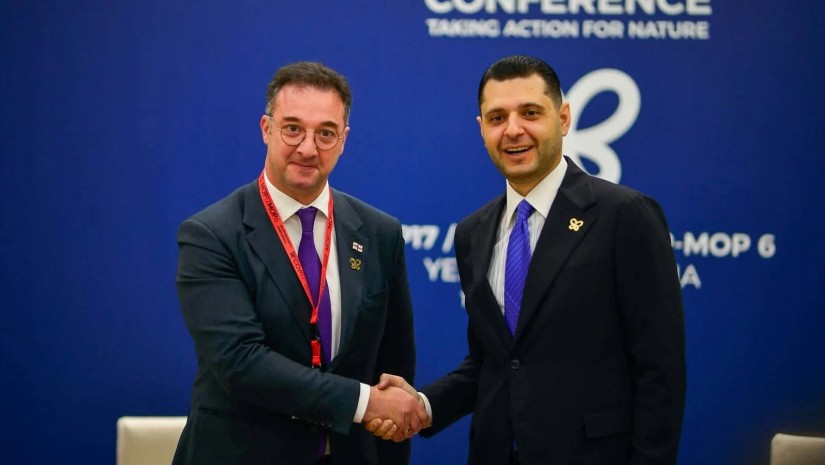 დავით სონღულაშვილი