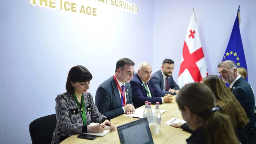 დავით სონღულაშვილი