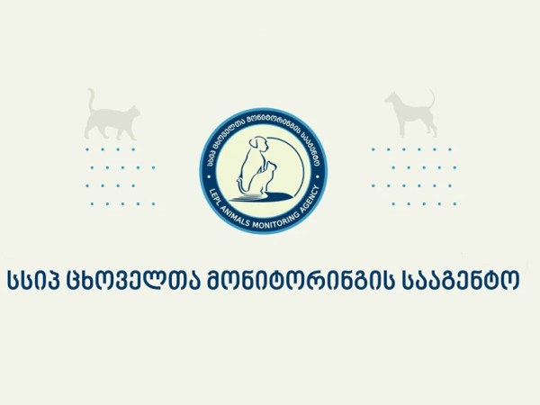 მონიტორინგის სამსახური