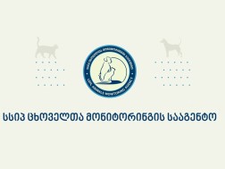 მონიტორინგის სამსახური