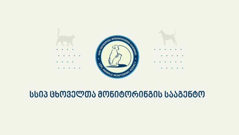 მონიტორინგის სამსახური